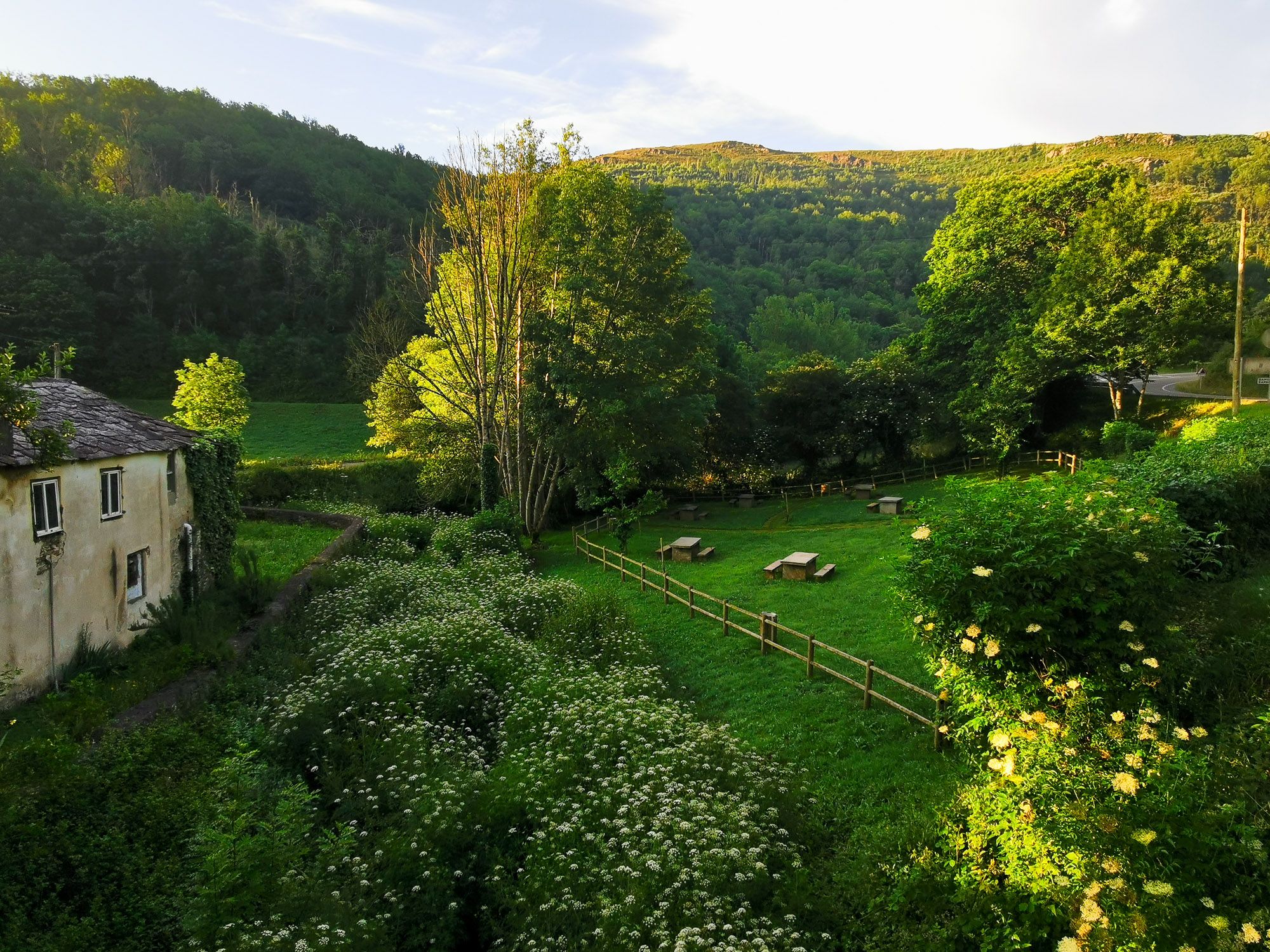 ทางออกจากเมือง Triacastela เขียวมาก