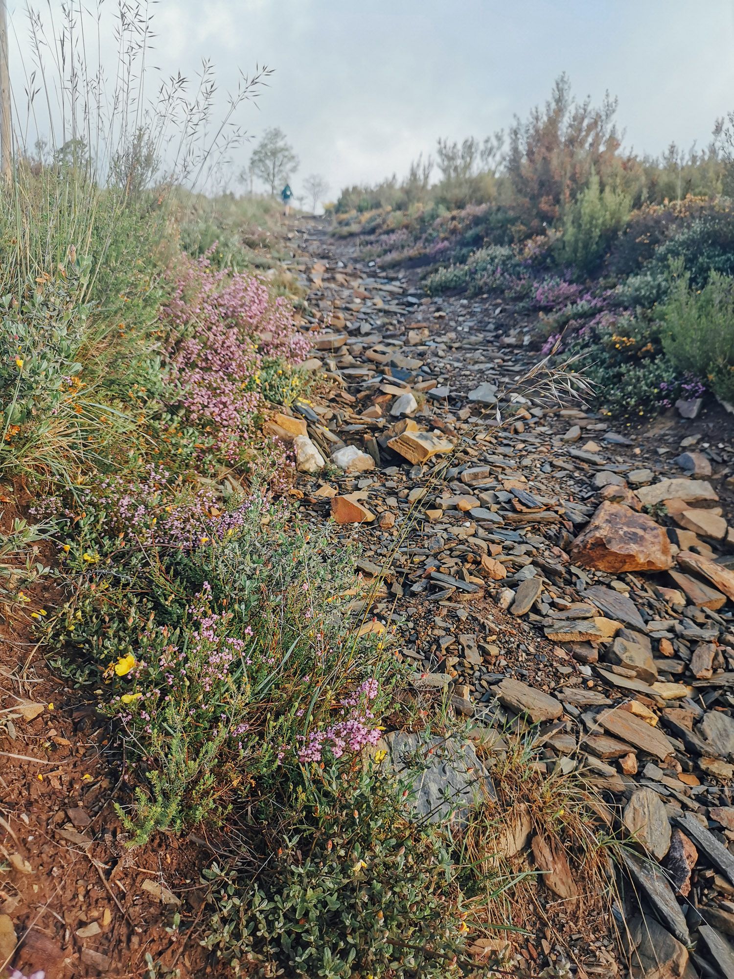 ทางเดินขึ้นเขา มีหินให้เลือกเก็บได้ตามความชอบ
