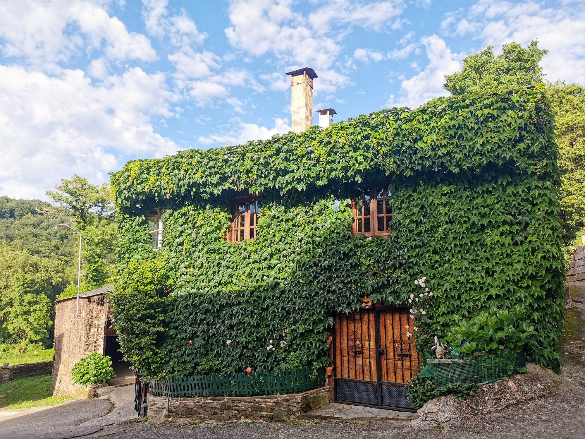 บ้านสองชั้น ตัวบ้านมีใบไม้สีเขียวจำพวกไวน์ปกคลุมหมด เหลือแต่ประตู หน้าต่าง และปล่องควันให้เห็น