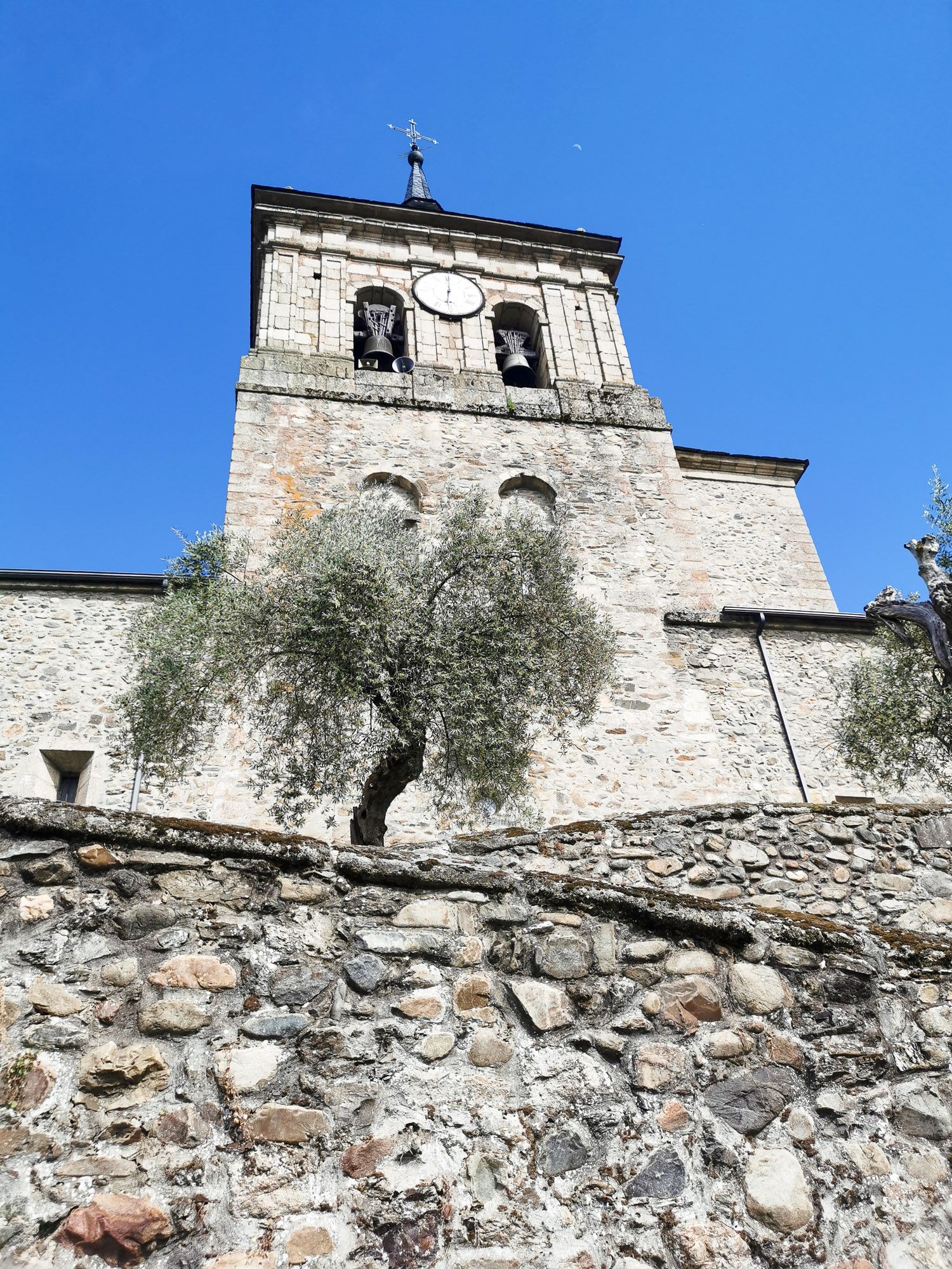 ทางขึ้นโบสถ์ มีต้นไม้ใหญ่ใบสีขาวปลูกอยู่