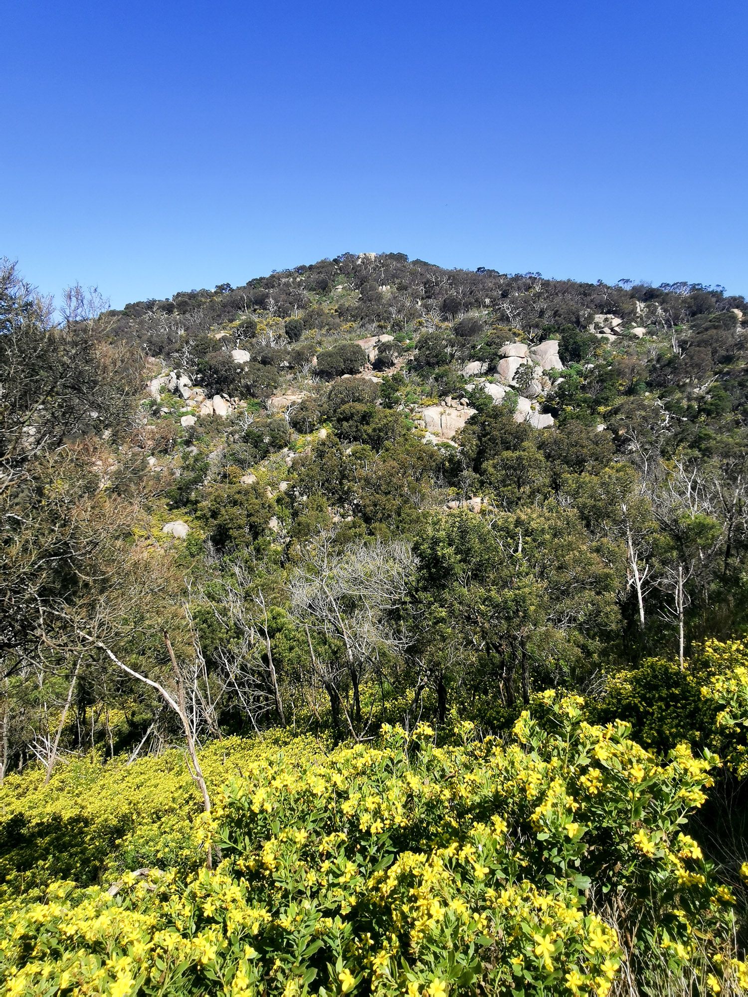 ยอดเขา และหินอยู่ตามเชิงเขา