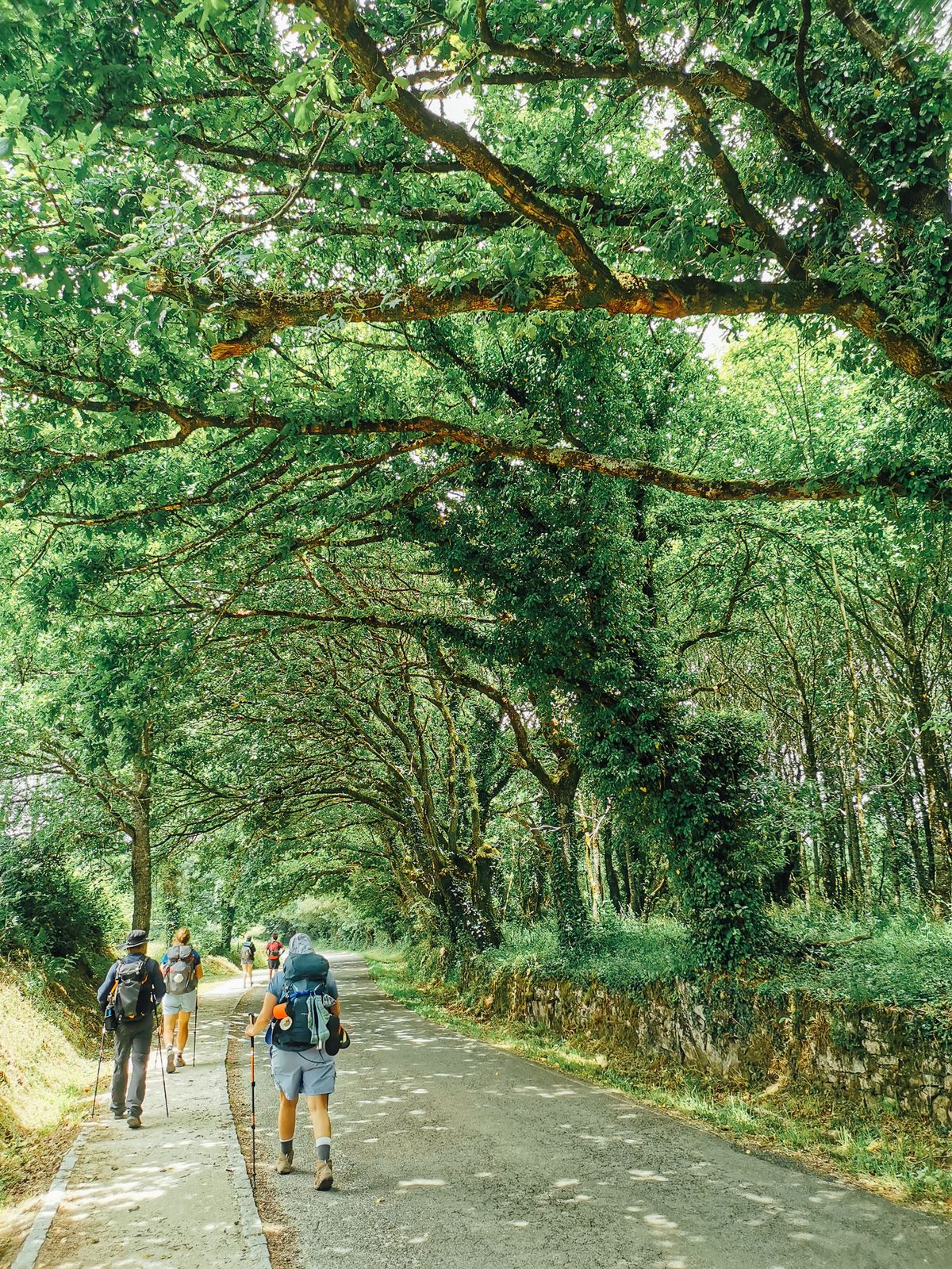 Camino Day 11 : Portomarín - Palas de Rei สนทนากับเพื่อนใหม่ ระยะไกลก็เหมือนใกล้