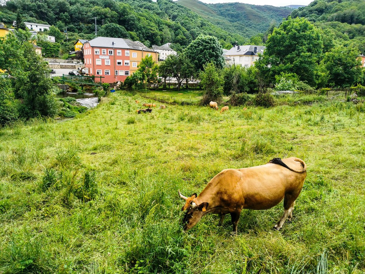 Camino Day 6 : Villafranca del Bierzo - Vega de Valcarce วันชิว เจอร้านเบเกอรี่ อร่อยแรง