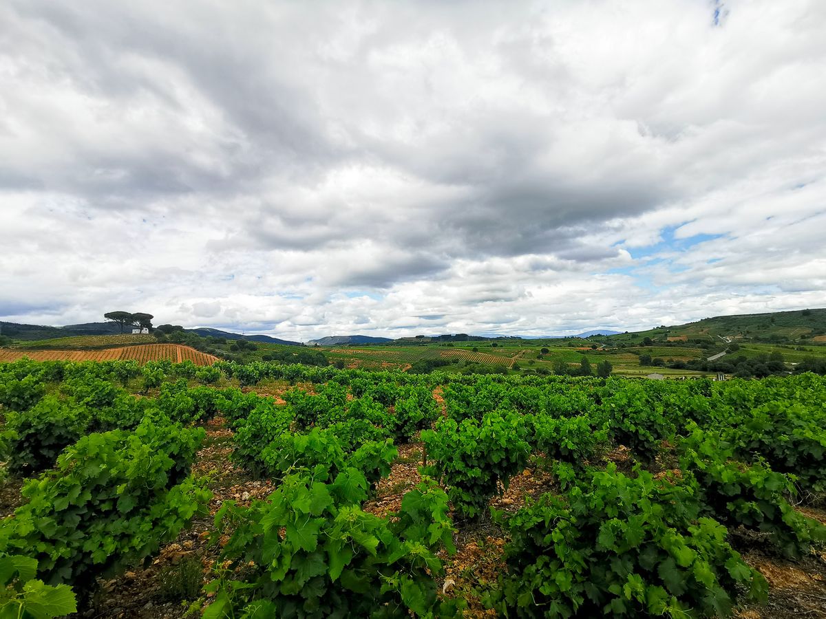 Camino Day 5 : Molinaseca - Villafranca del Bierzo ไกล ไกล๊ ไกล แต่ปลายทางสวยมาก
